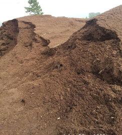 国产泥炭土开采视频播放,探索绿色能源的奥秘