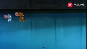 国产楼梯自拍视频播放,探索楼梯之美与生活瞬间