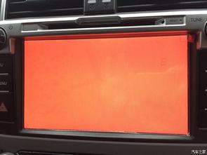 第一导航视频国产,迈向绿色可持续的未来