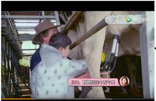 国产成人奶粉踩雷视频,揭秘踩雷真相！