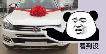 国产车撩妹搞笑视频,车技了得！