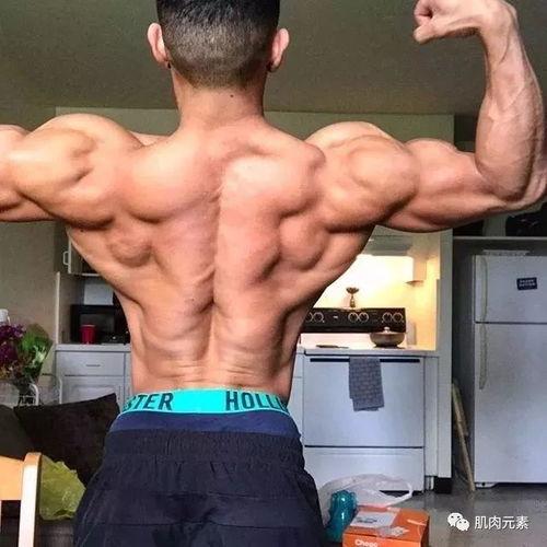 国产猛男大神视频在线,硬核健身风采，在线燃爆你的健身梦