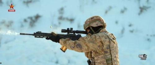 国产精准步枪大全视频播放,揭秘我国步枪发展历程与尖端科技