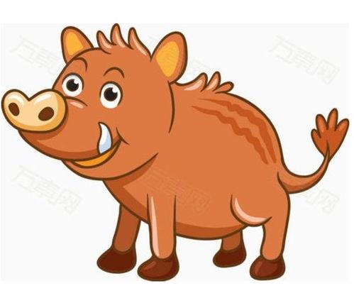 国产野猪动画视频播放,探寻自然与童趣的奇幻之旅