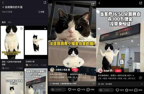 国产爆料视频,科技新突破，国产力量崛起