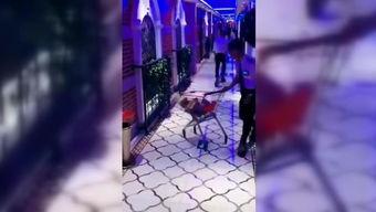 国产KTV乱视频播放,乱视频播放引发社会关注