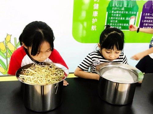 国产牛奶制作过程视频播放