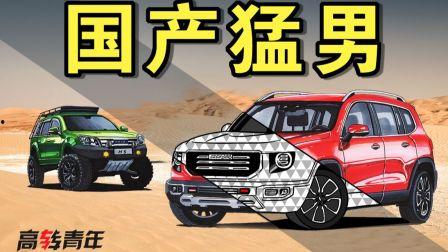 国产车烂轮视频,揭秘“烂轮”视频背后的真相