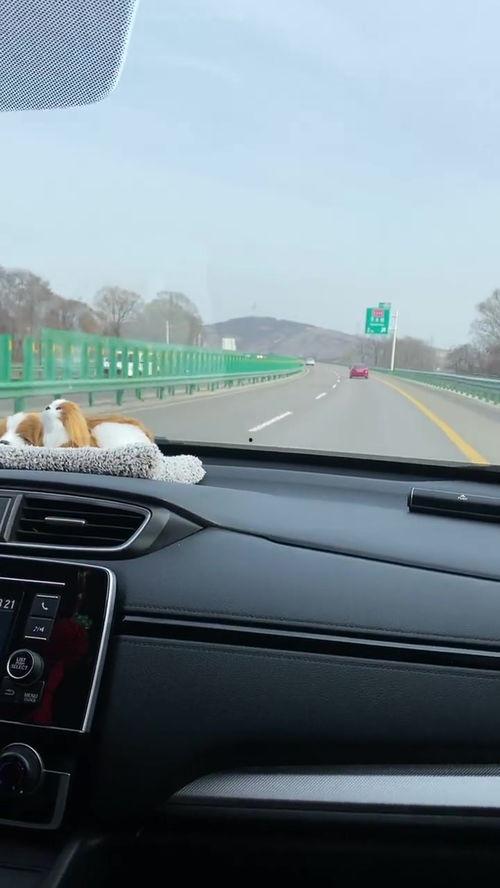 真正的国产车试驾视频,驾驭新国货，感受科技与舒适的完美融合