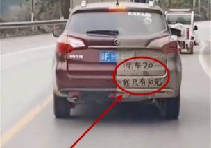 华人偶遇国产车视频大全,华人偶遇视频大盘点  第3张