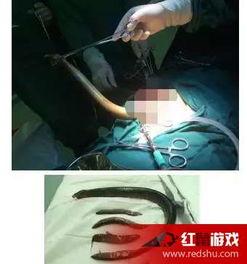 国产黄鳝视频在线观看,在线观看背后的故事与启示