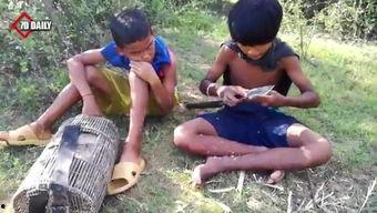 国产黄鳝视频在线观看,在线观看背后的故事与启示  第2张