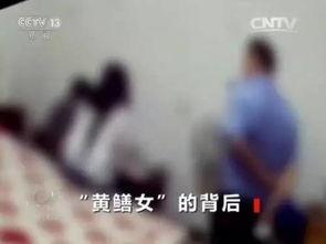 国产黄鳝视频在线观看,在线观看背后的故事与启示  第3张