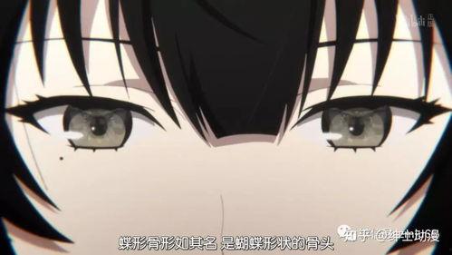 烂尾国产动漫视频,遗憾与反思的交织之旅